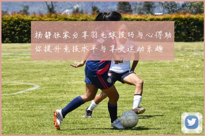 杨静独家分享羽毛球技巧与心得助你提升竞技水平与享受运动乐趣