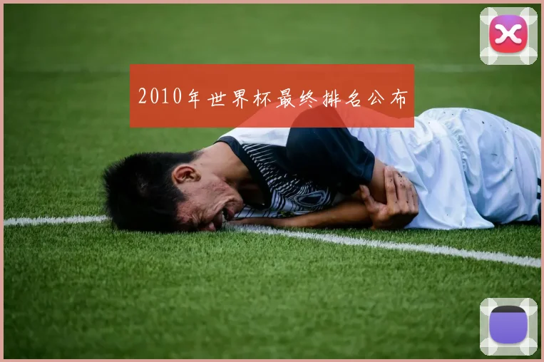 2010年世界杯最终排名公布