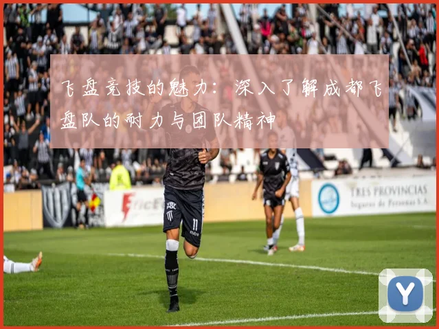 飞盘竞技的魅力：深入了解成都飞盘队的耐力与团队精神